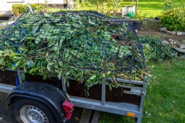 Recycling Services for Junk in Johnstown, CO